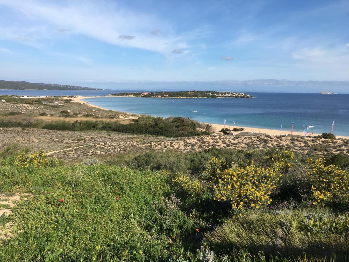 Il Bouganville A 150M Dalla Spiaggia Con Vista Sulla Splendida Baia Di Porto Raphael Palau Exterior foto